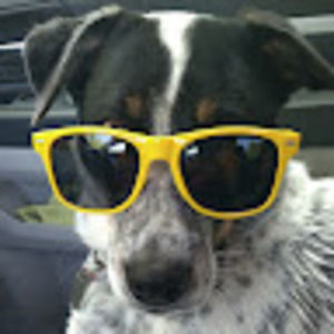 Meet your Posher, Melinda